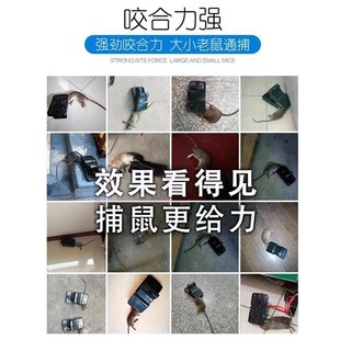 杀老鼠夹子大号 捕鼠器扑抓电驱鼠器笼药灭鼠工具T家用野外 包邮