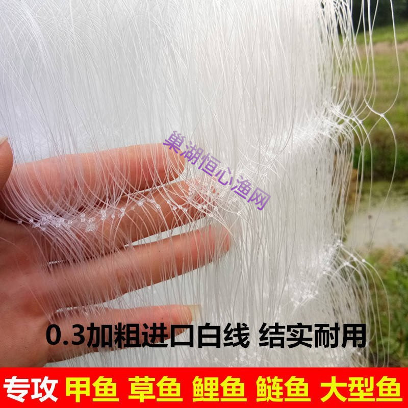 加粗线8 9e 10指1米2米3米专捕老鳖网甲鱼网粘网丝网加重单层沉网,户外/登山/野营/旅行用品,鱼网/虾笼/其它渔具,淘宝优惠券,粉丝福利购,淘宝优惠卷