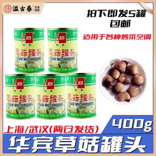 福建特产华宾牌草菇罐头食用菌草菇新货美味佳肴400g*5罐多省包邮
