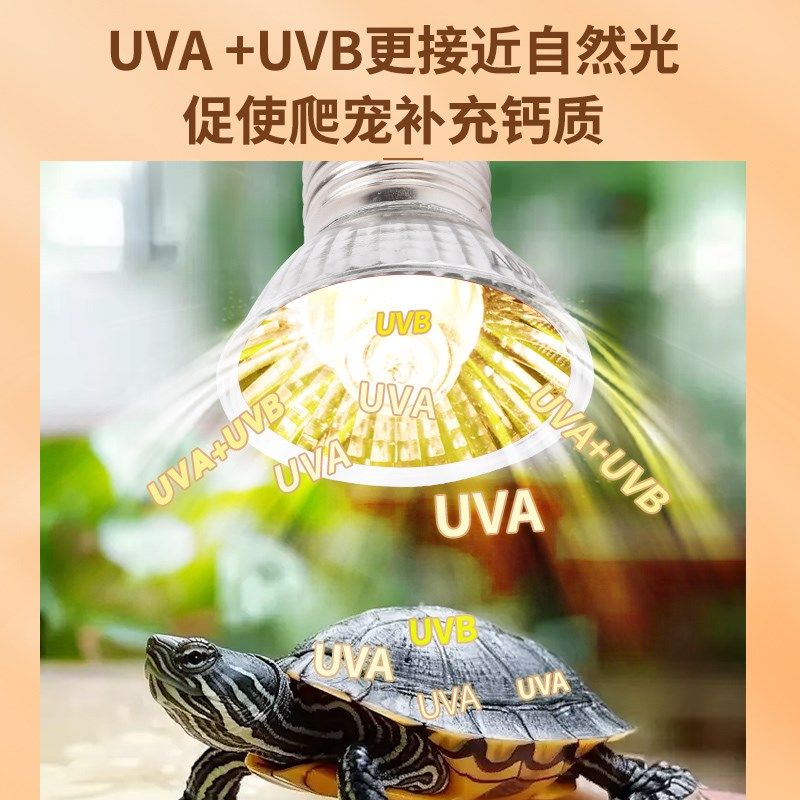 乌龟爬宠晒背灯取暖加热保温太阳灯灯泡宠物乌龟灯架芦丁鸡保温灯