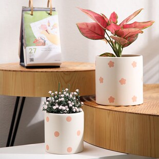 圆柱形纯手工刻印波点陶土素胚花盆透气吸水带托盘蝴蝶兰绿箩盆栽