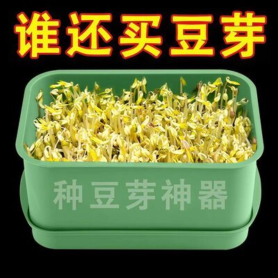 家用食品级发芽盆绿豆花生芽