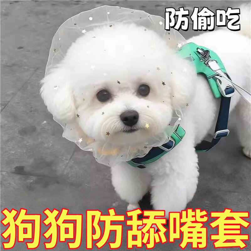 小型犬泰迪比熊防偷吃网纱嘴套