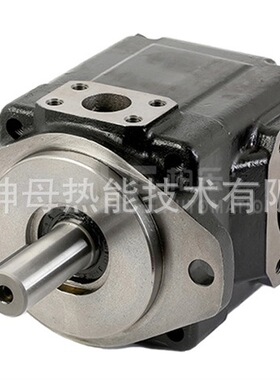 DENISON 6C-006-2R02-B1丹尼森叶片泵