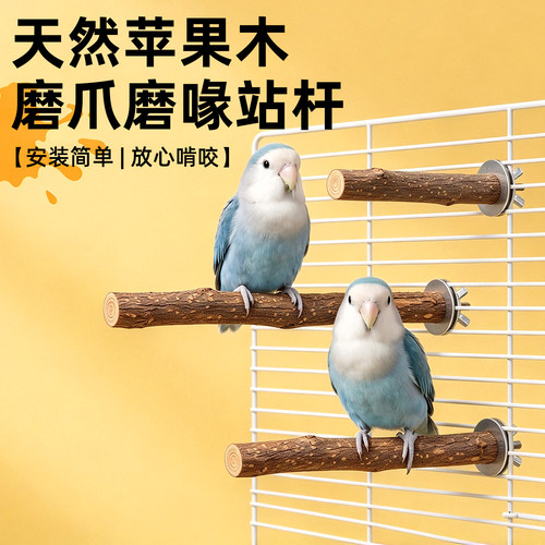 冠之亚鹦鹉苹果木站杆磨爪磨嘴