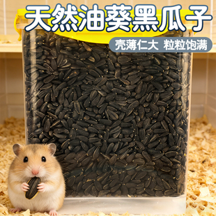 仓鼠粮食金丝熊粮食营养零食主梁冻干自配饲料磨牙零食鼠粮小瓜子