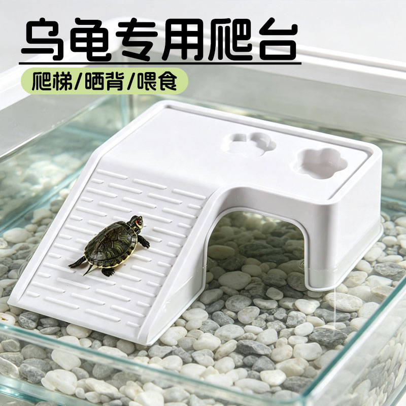 乌龟饲养缸家用鱼缸客厅小型养乌龟专用箱生态造景晒爬台桌面龟缸