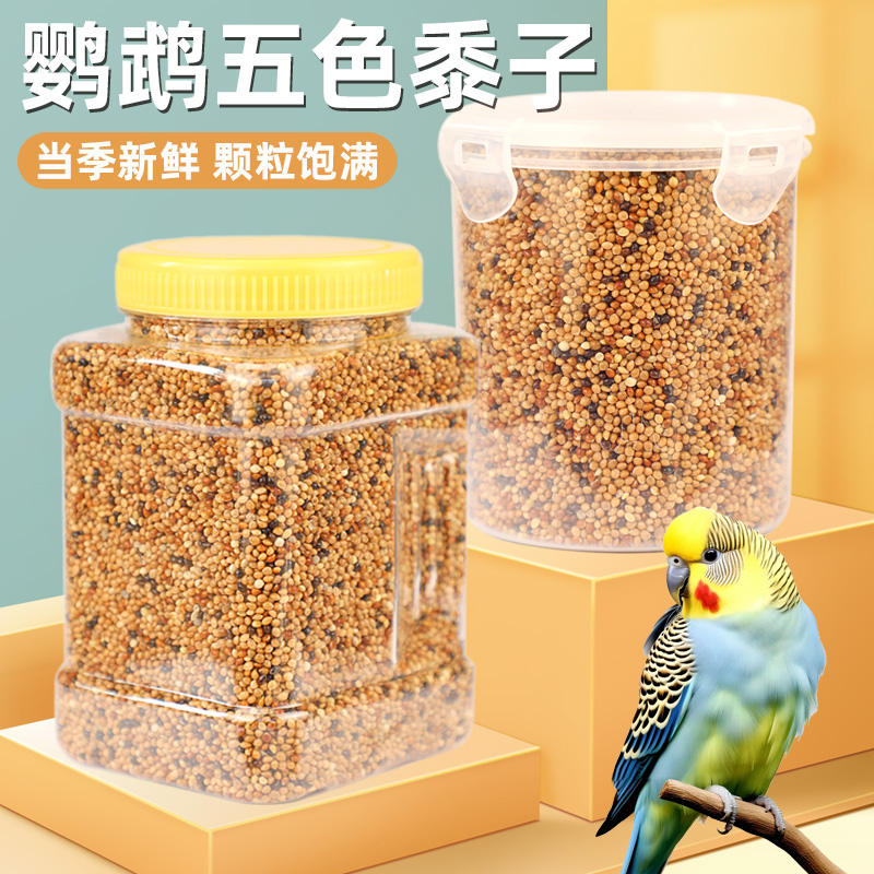 鹦鹉鸟粮饲料鸟食五色黍子带壳小米黄谷子玄凤虎皮牡丹鹦鹉鸟粮食