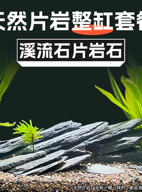 原生态溪流片岩石整缸造景主石乌龟晒台鱼缸景观原生岩石野采石头