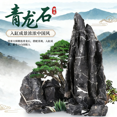 酸洗青龙石造景石鱼缸微景观