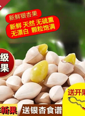 2026年新鲜大颗带壳白果银杏果无漂白泰兴特级包邮干货生百果
