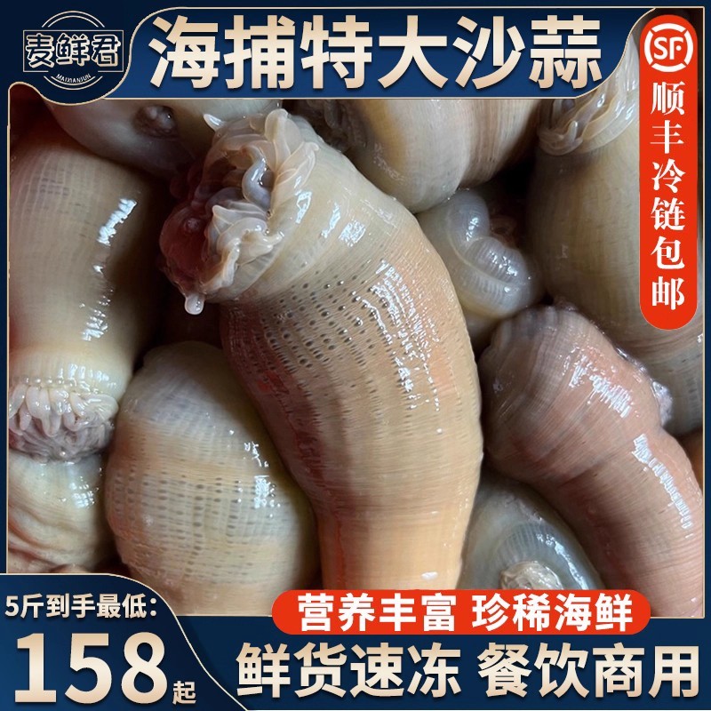 麦鲜君精选野生海葵沙蒜冷冻5斤