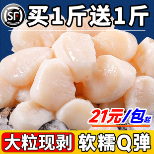 新鲜瑶柱扇贝柱5斤鲜贝柱鲜活现剥冷冻冰鲜速冻元贝丁带子肉海鲜