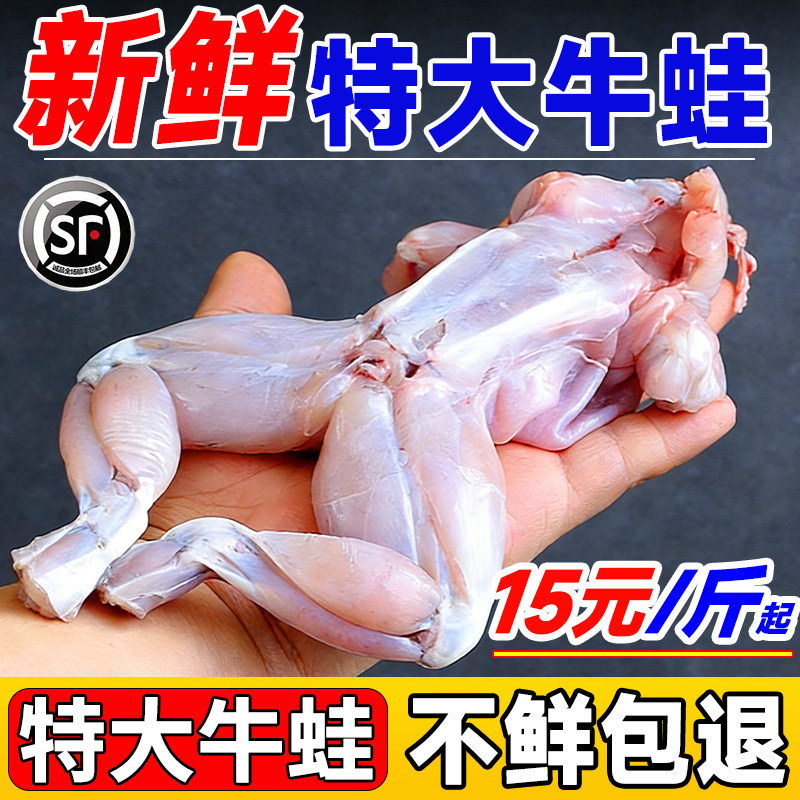 牛蛙新鲜特大鲜活冷冻超大田鸡青蛙蛤蟆杀好后蛙块商用火锅食材
