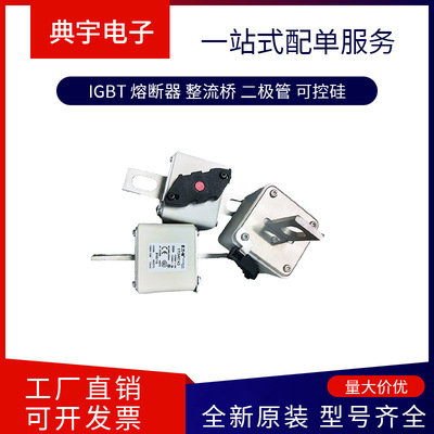 熔断器170M6740 6741  6742  6743  6744  6745  6746型号齐全