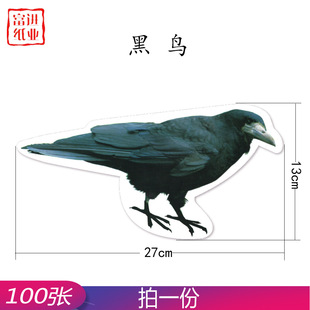 乌鸦 黑鸟 100张 殡葬用品宠物动物白卡纸硬纸片黄裱纸清明七月半