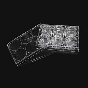LABSELECT(甄选)14141 细胞培养小室,含6孔板(PC膜,24mm,孔径8.0