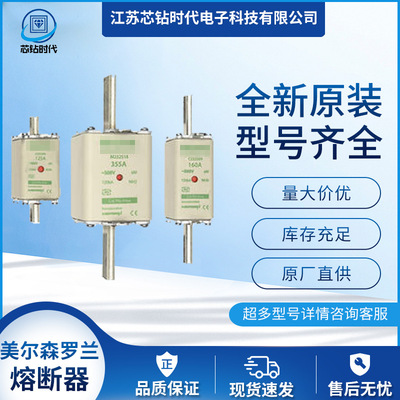 NH2GG69V32 NH2GG69V35 NH2GG69V40 美尔森Ferraz罗兰熔断器