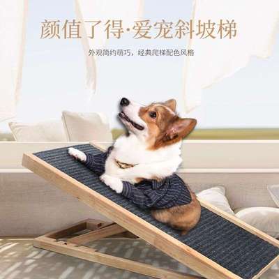 狗狗楼梯斜坡 宠物爬梯犬猫无障碍上床梯子 高龄犬坡道台阶可折叠