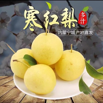 内蒙古赤峰宁城寒红梨脆梨脆甜爽口新鲜采摘25年新果