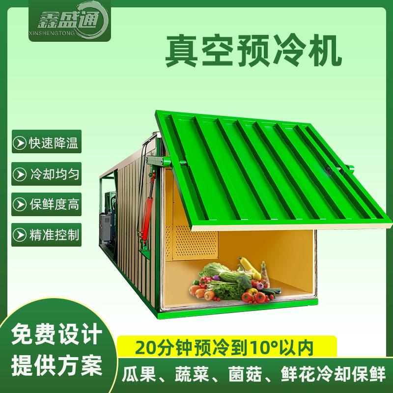预冷设备叶菜预冷机金针菇蘑菇快速冷却机器茼蒿蔬果真空预冷机