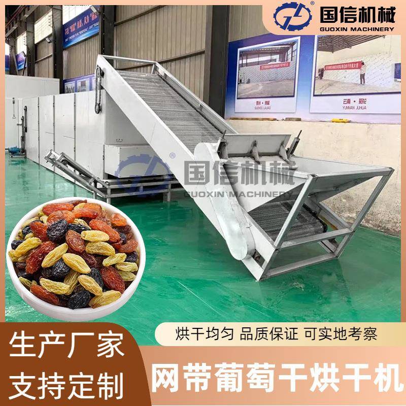 新疆葡萄干连续烘干设备黑加仑无核白烘干机网带式葡萄干烘干机