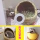 宠物刺猬窝保暖冬天用品非洲迷你冬眠窝屋房子刺猬小窝躲避窝四季