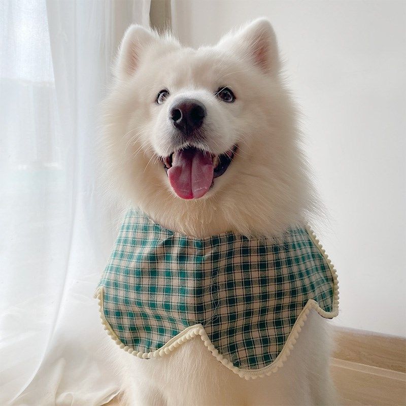 宠物狗狗新款口水巾深绿色格子花瓣围脖大中小型犬萨摩耶拉布拉多,宠物/宠物食品及用品,狗宠物服装/雨衣,淘宝优惠券,粉丝福利购,淘宝优惠卷