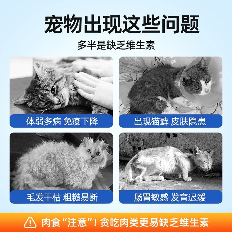 猫咪复合维生素片狗狗营养膏宠物专用多种维生素b猫用猫藓防掉毛,宠物/宠物食品及用品,猫氨基酸/维生素/钙铁锌,淘宝优惠券,粉丝福利购,淘宝优惠卷