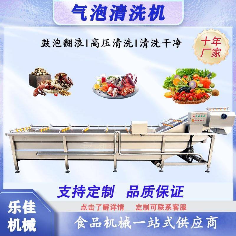 全自动气泡百香果清洗机草莓樱桃清洗设备车厘子气泡清洗机