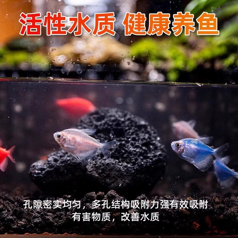 速发黑色火山石颗粒黑火山石拌土多肉铺面开鱼缸过滤底砂水族造景