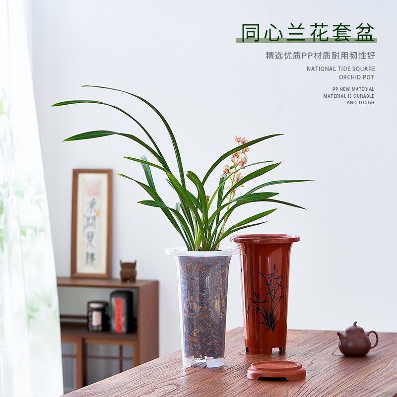 速发彩色兰花套盆塑料兰花盆专用兰花种植盆蕙兰建兰花草盆高腰盆