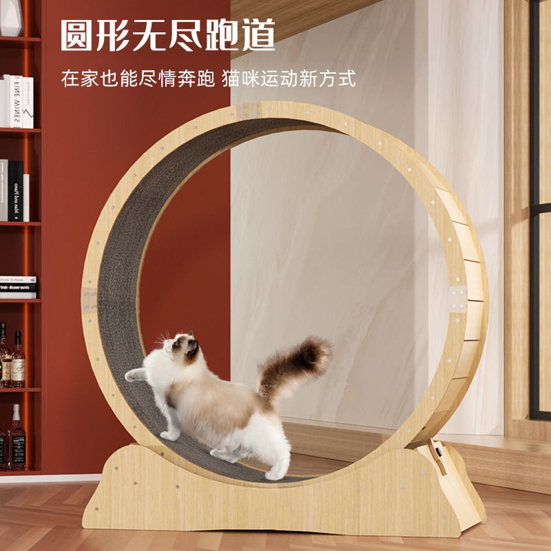 好货宠物猫咪跑步机健身滚轮静音运动家具板跑轮大型猫爬架猫咪玩