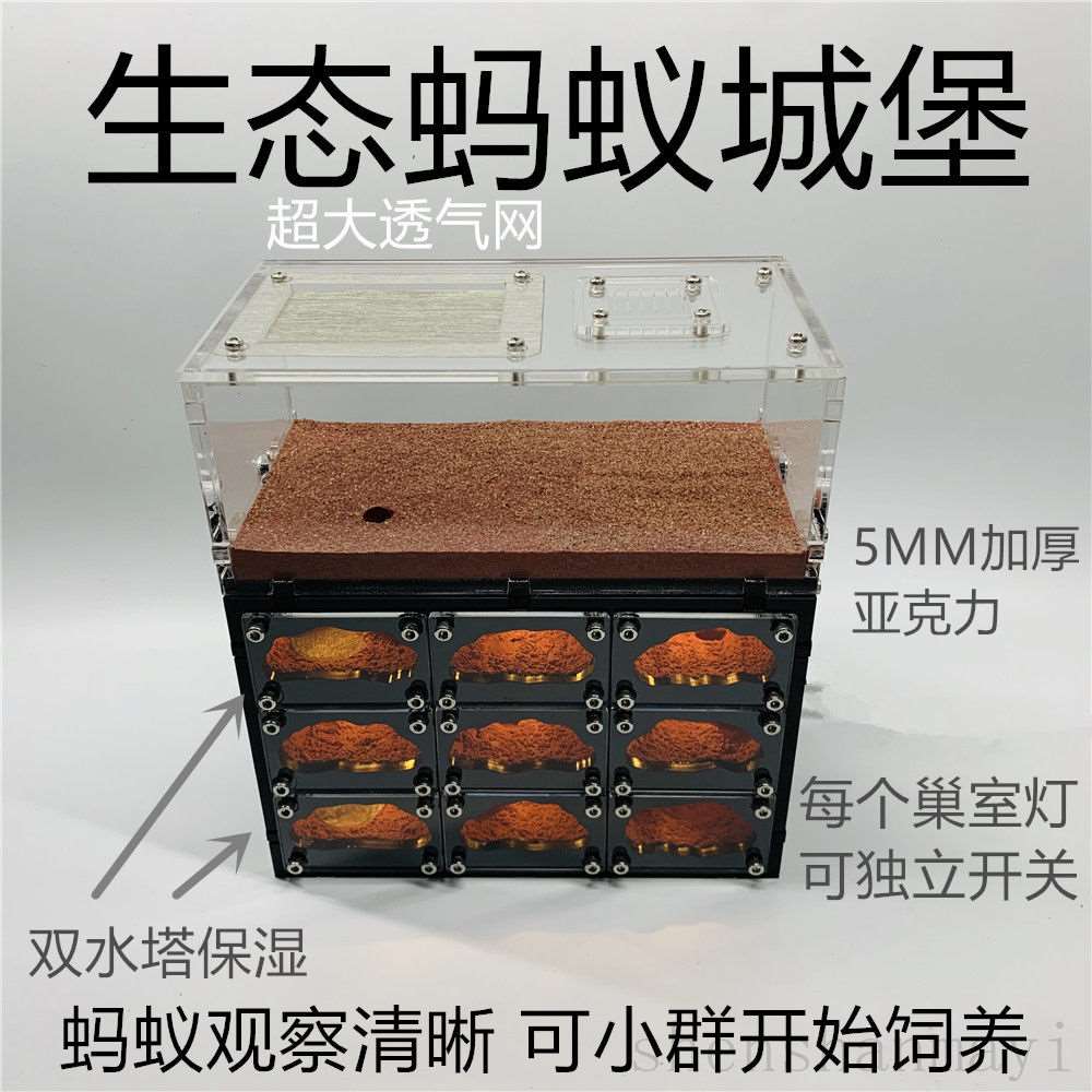 极速天空城D版 带灯宠物蚂蚁工坊笼子城堡繁殖蚁巢压克力沙巢混凝