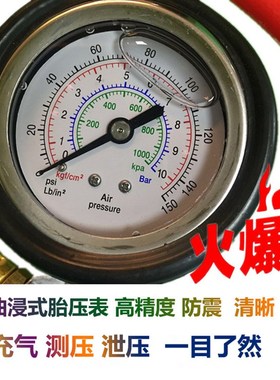 台湾FAN风牌胎压枪TG-3 气枪高精度汽车胎压表充气枪 加气表 包邮