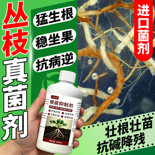 【AM进口菌剂】丛枝菌根真菌菌剂
