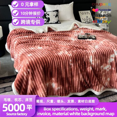 双层加厚毛毯羊羔绒牛奶绒毯子盖毯午睡批发跨境外贸礼品跨境热销