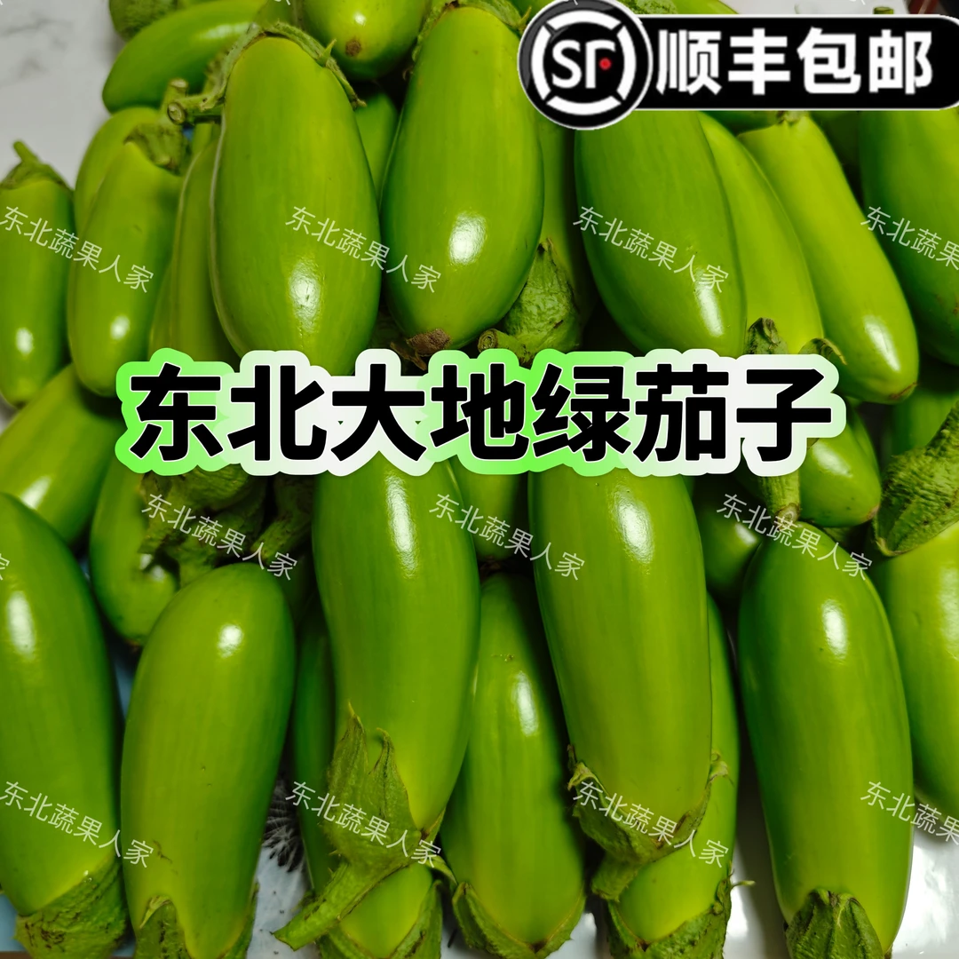 【顺丰包邮】东北绿茄子甜茄子现摘现发农家自种皮薄肉厚开锅烂糊