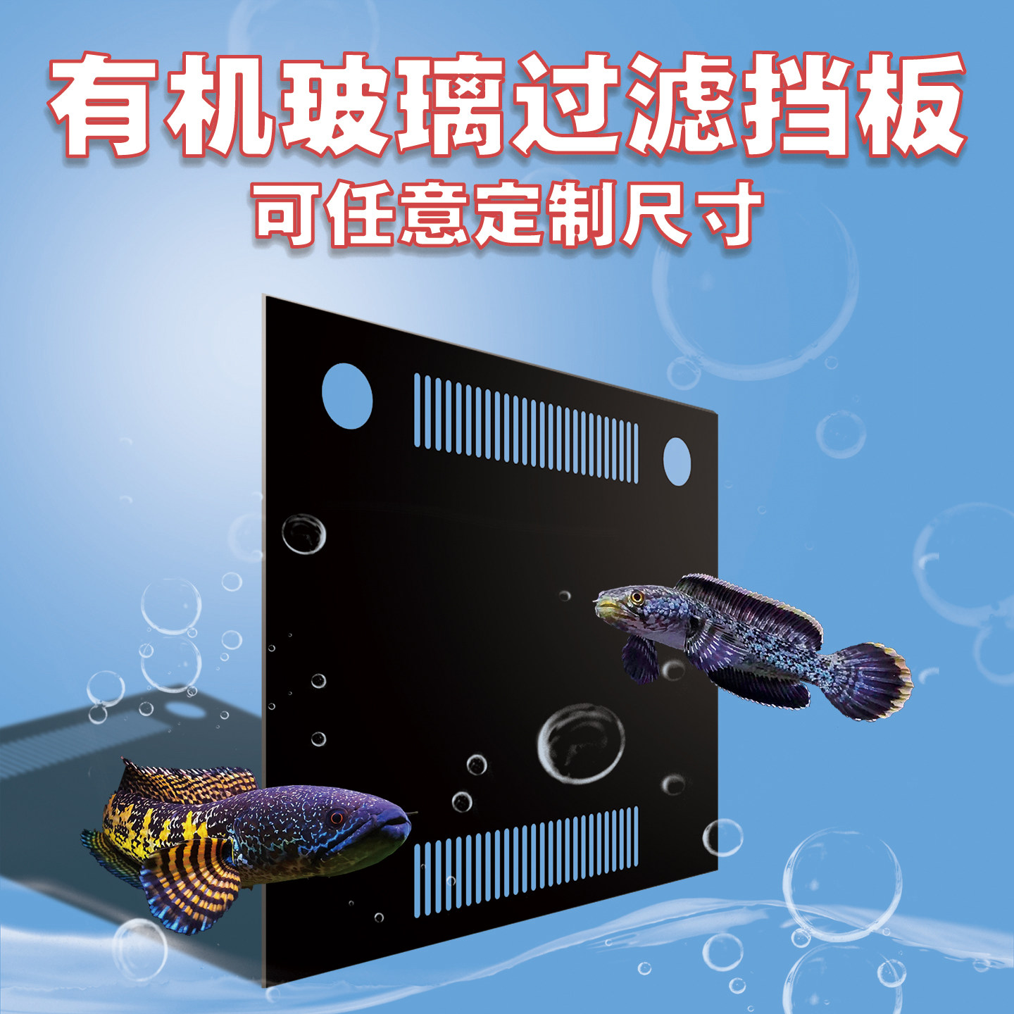 鱼缸隔离板亚克力隔板图片