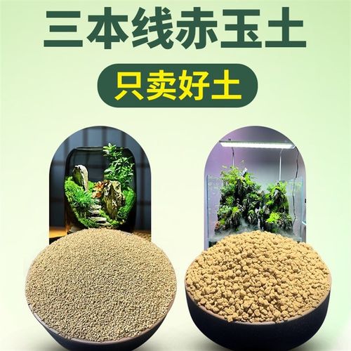 速发苔藓景观材料创景观材料包作意生态瓶制微材料水陆缸造景材料