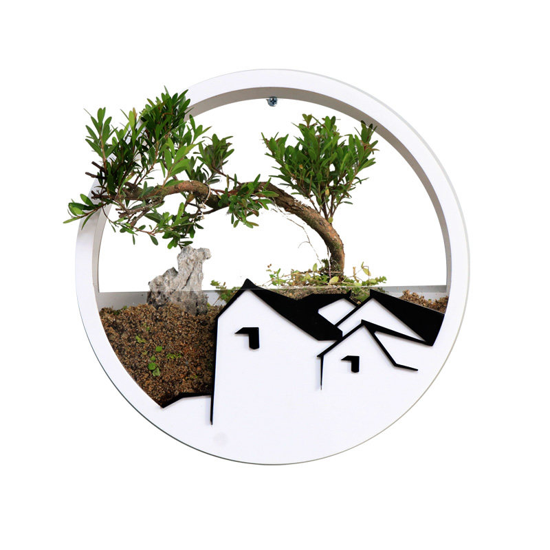 速发创意圆形饰挂装盆真植物墙上挂墙挂壁花架家居客厅墙Y面花壁