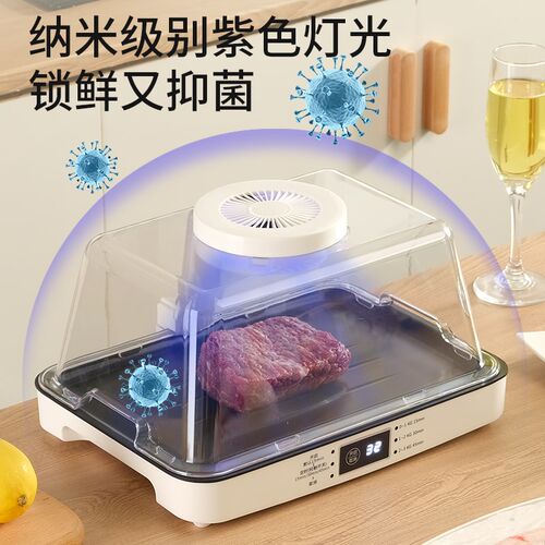解冻神器家用快速解冻肉牛排解冻导热板恒温化冻盘Y保鲜解冻机器