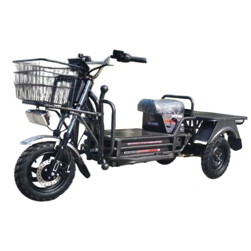 新款载重王电动三轮车载货快餐拉客快O递爬坡王家用送货车