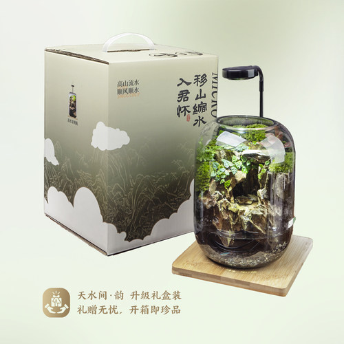 丘辰青苔藓微景观生态瓶办公室内桌面养鱼绿植盆栽DIYY造景观植物