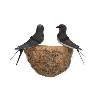 仿真燕子窝装饰墙面美化遮挡燕窝人造燕I巢壁挂饰品家居小燕子摆
