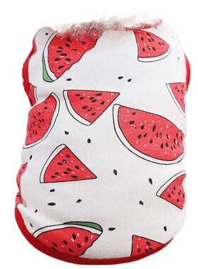 速发猫爱猫咪衣服夏夏薄款布偶可小幼防掉毛布偶蓝猫季天背心