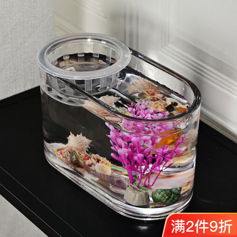 速发简约桌面透明玻璃鱼缸水培椭圆形花盆水养植物容器创意透明鱼