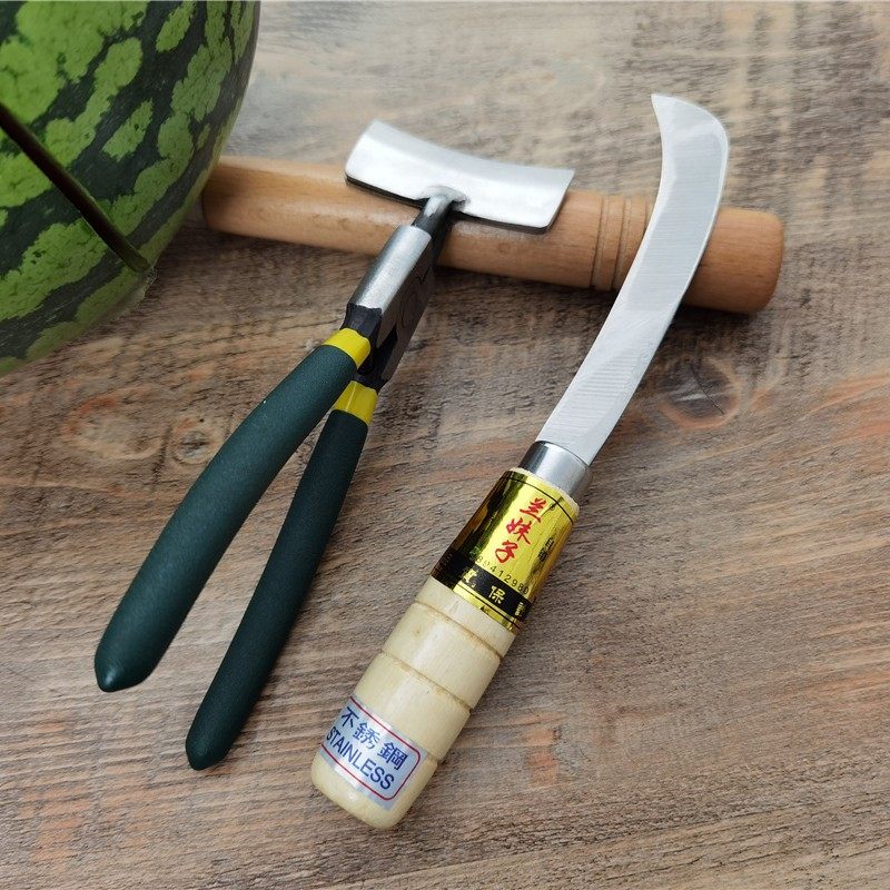 速发掰西瓜神器开西瓜工具西瓜分割器取肉器西瓜开瓜器开西瓜器开