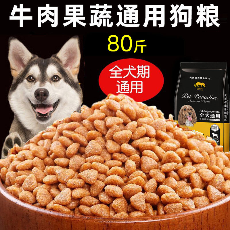 速发大袋80斤装金毛哈士奇日本秋田犬中大型成年犬通用型40优惠装