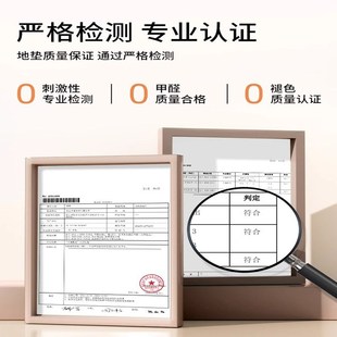 可擦免洗秋y冬法风轻奢高级沙发茶几家用房间地 地毯客厅2024新款